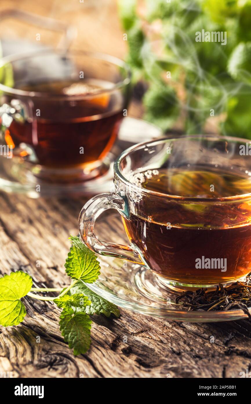 Une tasse de thé aux herbes melissa on wooden table Banque D'Images