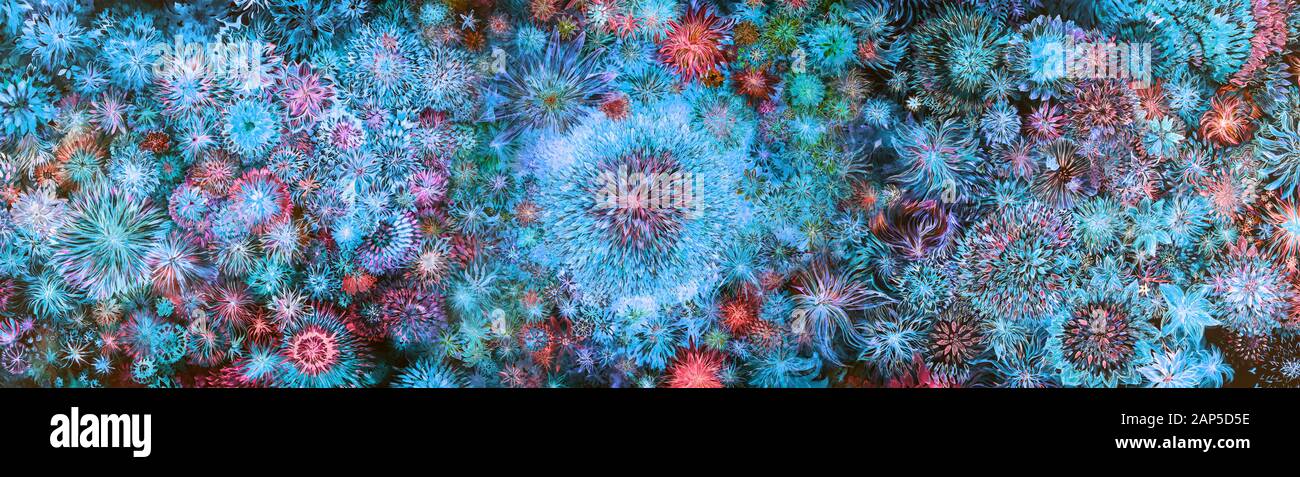 Bourgeons de fleurs brillants représentant la diversité des formes florales dans des aquarelles éclatantes avec un chrysanthème psychédélique au centre Banque D'Images
