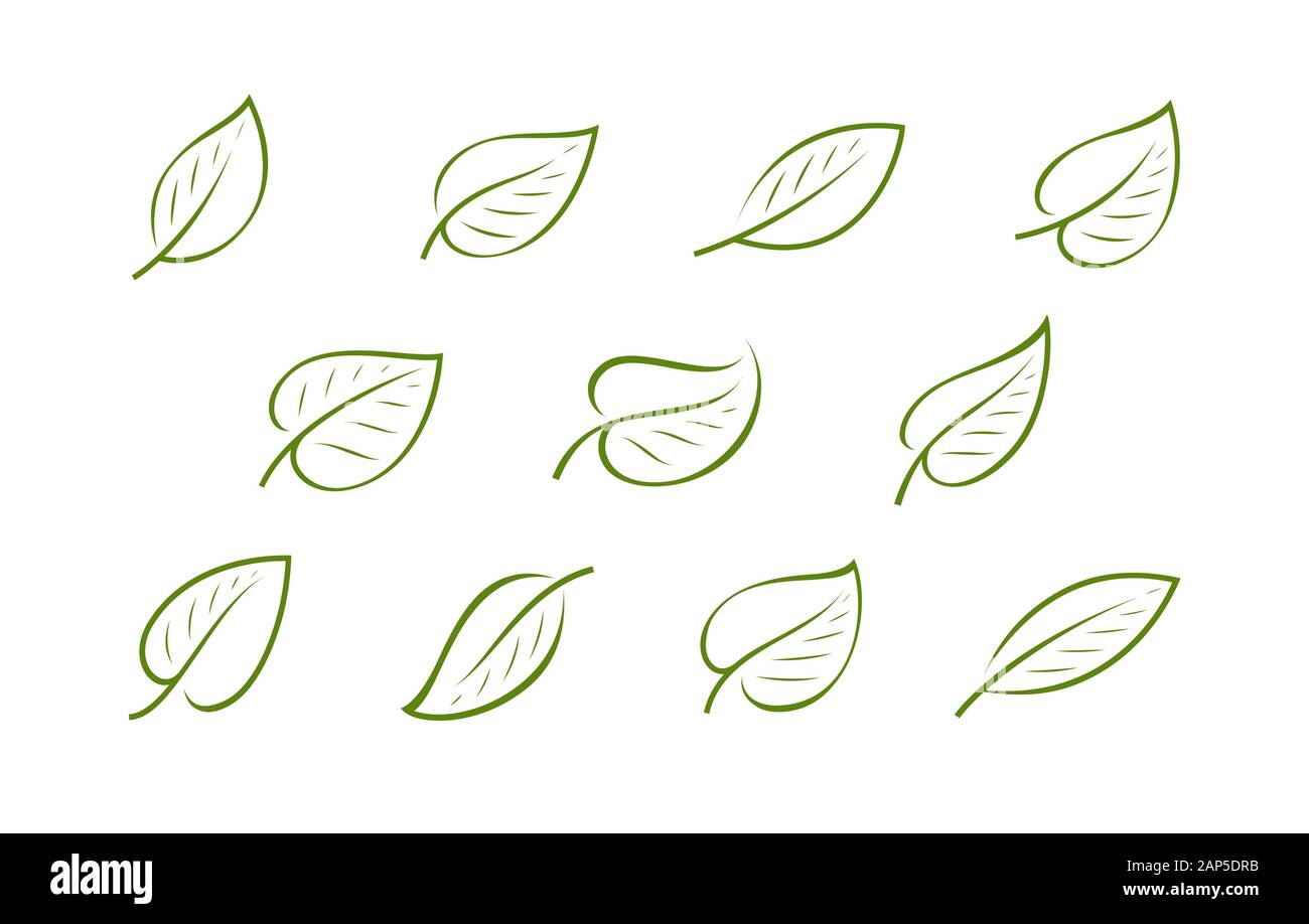 Logo de la feuille verte naturelle. La nature, l'écologie ou l'icône vecteur symbole Illustration de Vecteur Logo de la feuille verte naturelle. La nature, l'écologie ou l'icône vecteur symbole Illustration de Vecteur