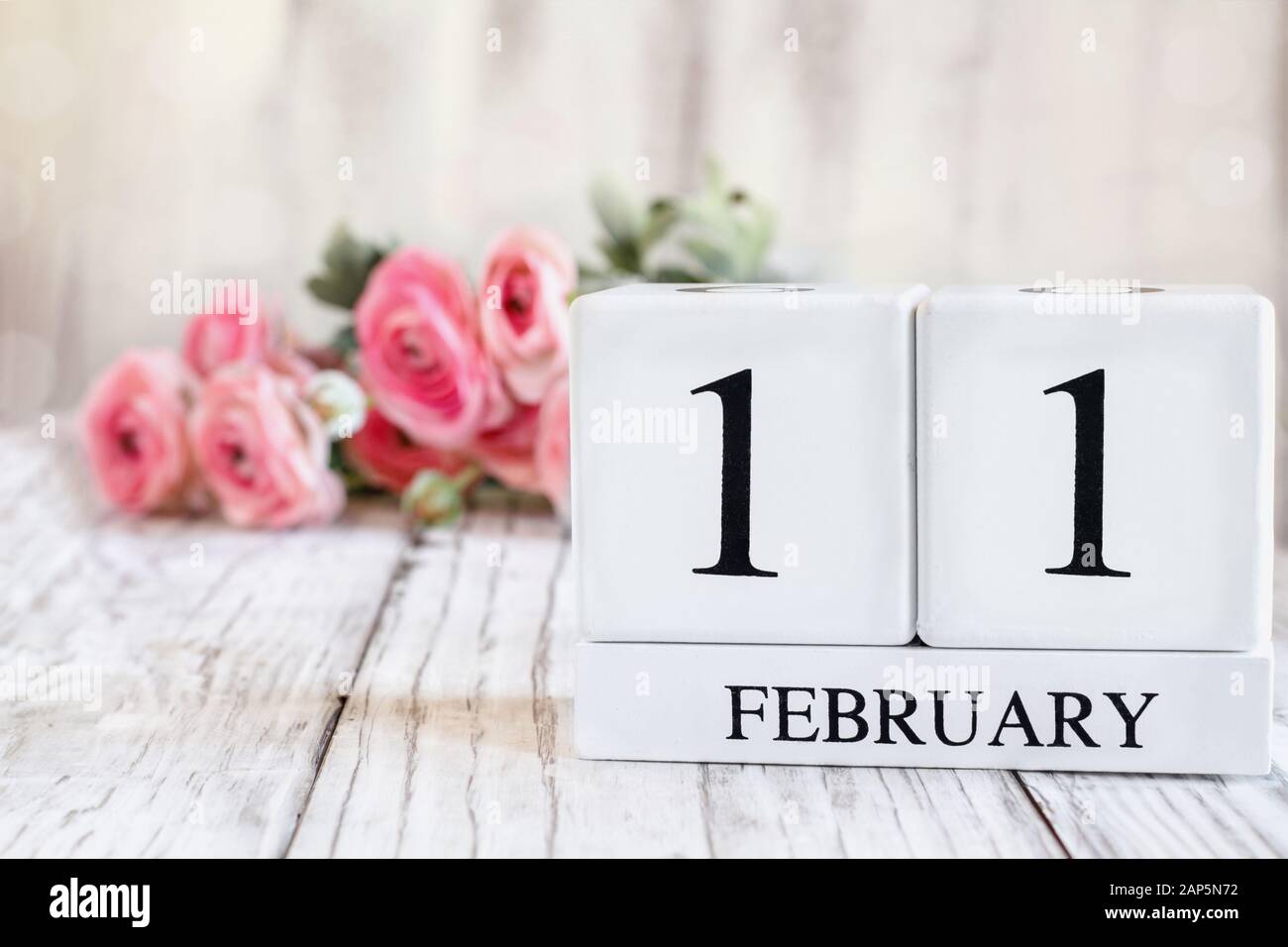 Blocs calendrier en bois blanc avec la date du 11 février. Foyer sélectif avec ranunculus rose en arrière-plan sur une table en bois. Banque D'Images