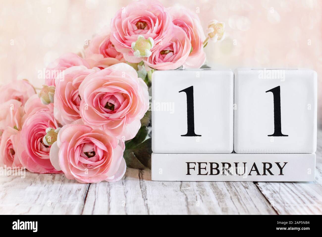 Blocs calendrier en bois blanc avec la date du 11 février et fleurs de ranunculus roses sur une table en bois. Mise au point sélective avec arrière-plan flou. Banque D'Images