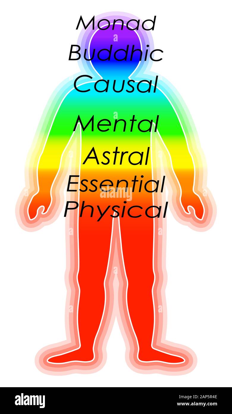 La croissance spirituelle, de couleur arc-en-couches du corps masculin. L'éthérique, émotionnel, métalliques, astral, céleste, et les couches. Vecto isolés Illustration de Vecteur