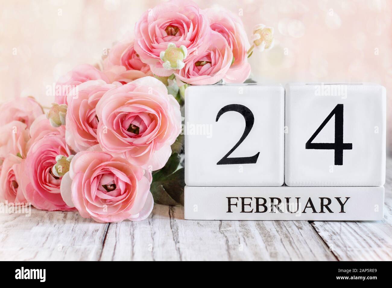 Blocs calendrier en bois blanc avec la date du 24 février et fleurs roses de ranunculus sur une table en bois. Mise au point sélective avec arrière-plan flou. Banque D'Images