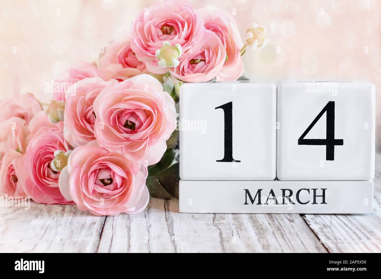 Blocs calendrier en bois blanc avec la date du 14 mars et fleurs roses de ranunculus sur une table en bois. Mise au point sélective avec arrière-plan flou. Banque D'Images