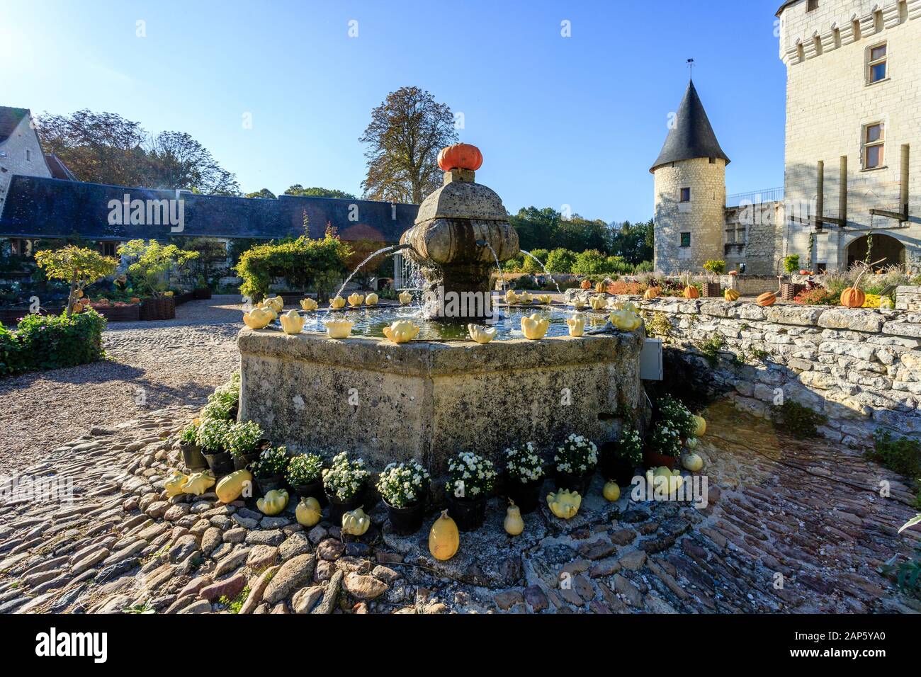 France, Indre et Loire, Loire Anjou Touraine Parc Naturel Régional, le Château du Rivau Lemere, jardins, fontaine et la courge dans le service du château quar Banque D'Images