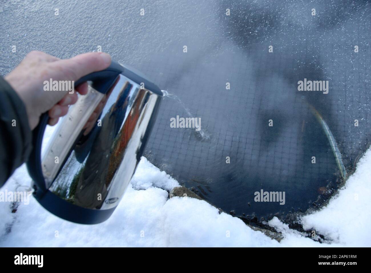 Verser de l'eau très chaude à partir d'une bouilloire électrique pour faire fondre la glace formée sur l'étang de jardin domestique. Banque D'Images