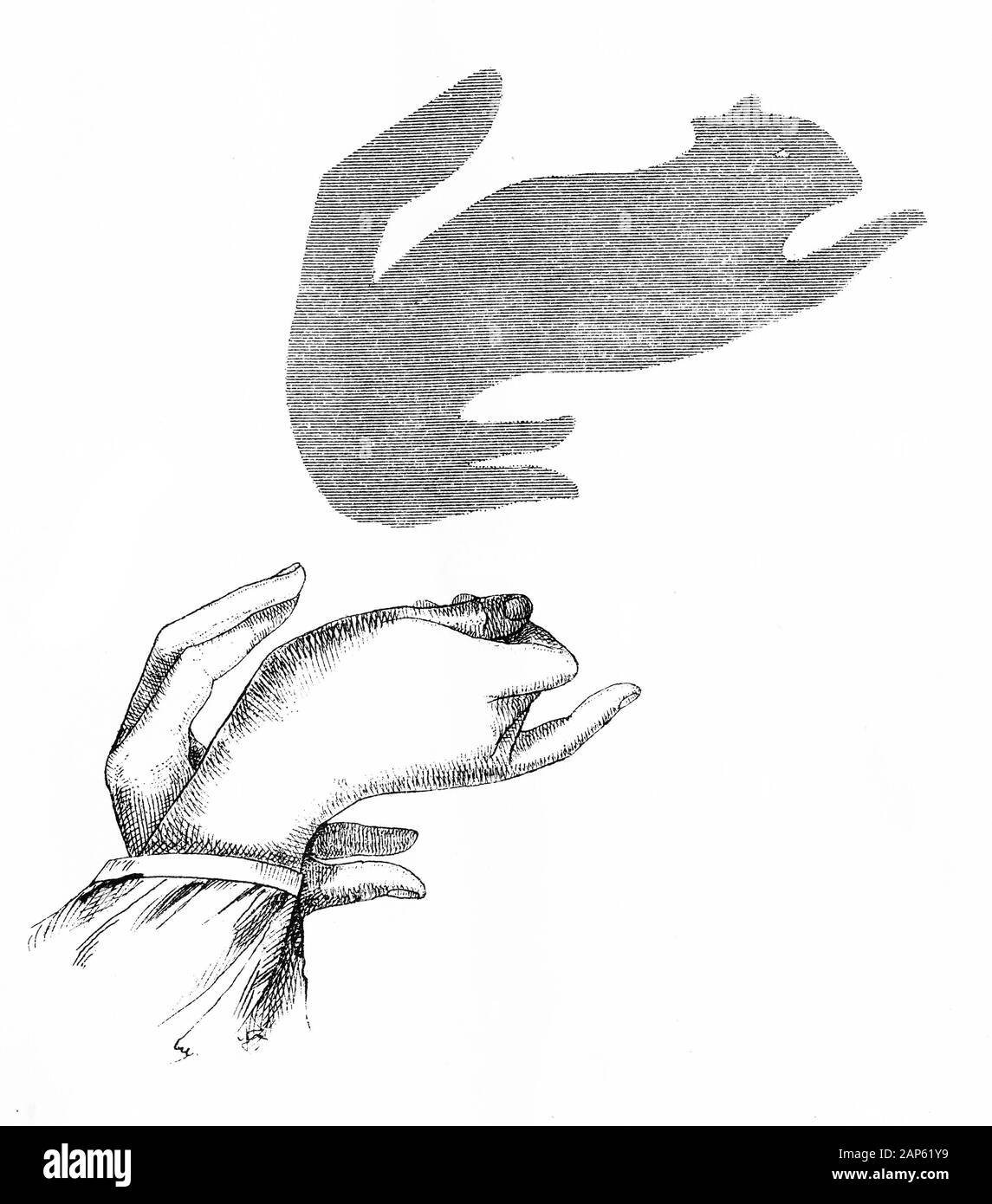 Gravure d'une part l'ombre d'un écureuil. Le livre de Henry Bursill plus part des ombres, 1860. Banque D'Images