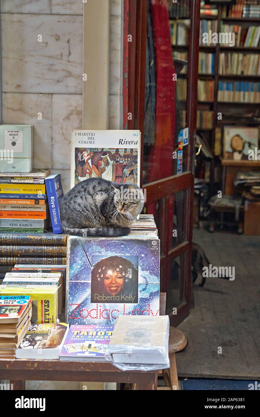 Un chat de rue dort sur des livres à vendre en dehors d'une librairie dans les Kabatas Banque D'Images