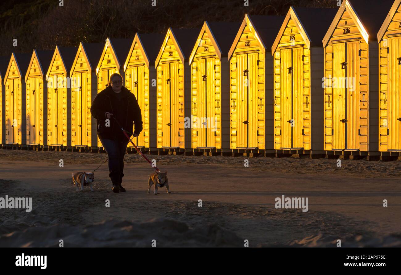 Bournemouth, Dorset Royaume-Uni. 21 janvier 2020. Météo au Royaume-Uni : magnifique coucher de soleil sur la plage de Bournemouth à la fin d'une journée ensoleillée, mais froide. Les visiteurs se rendent au bord de la mer pour regarder le soleil se coucher. Le soleil met les huttes de plage en feu tandis que les gens marchent le long de la promenade - femmes marchant des chiens. Crédit: Carolyn Jenkins/Alay Live News Banque D'Images