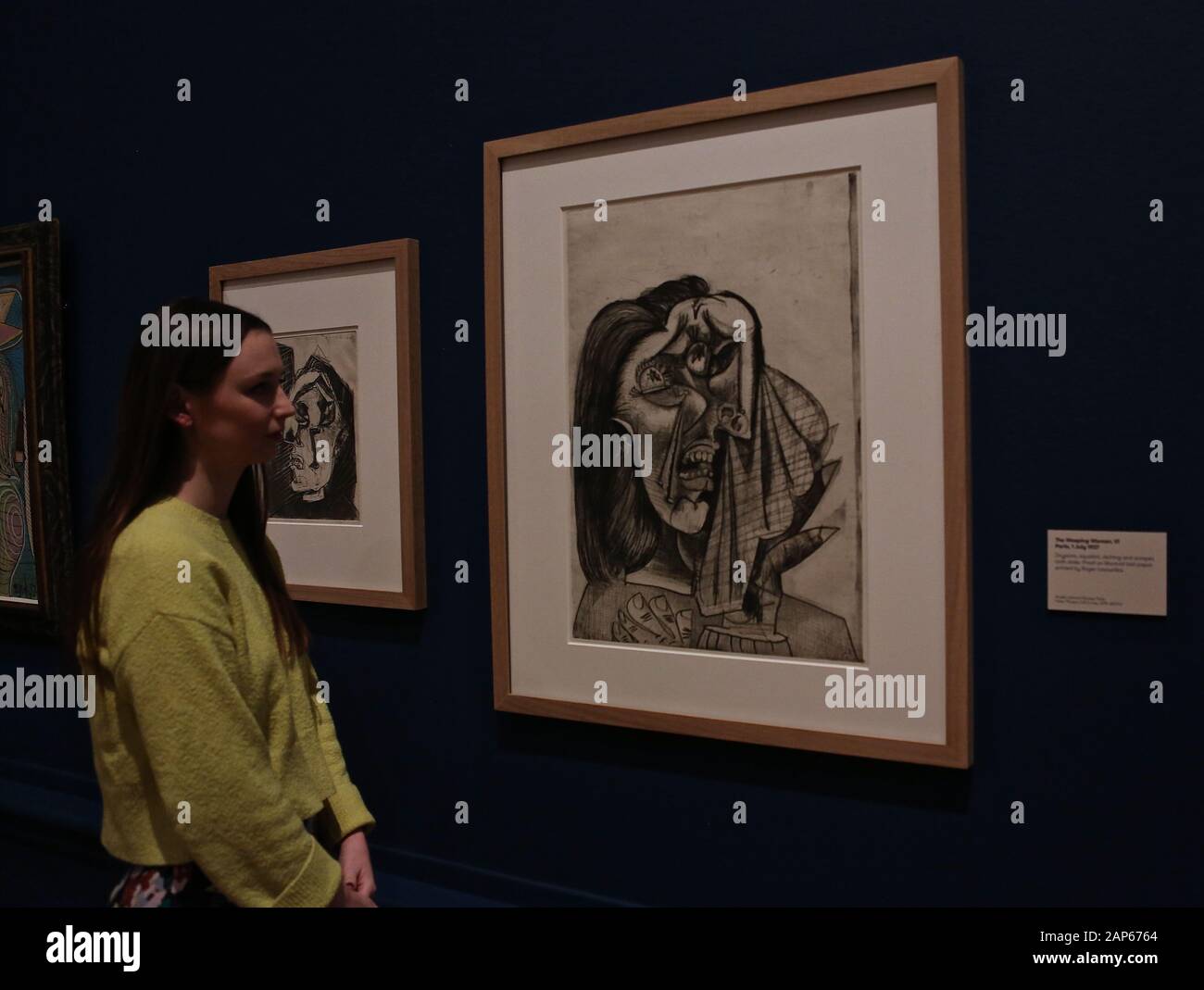 Bringin réuni plus de 300 œuvres et englobant l'ensemble de Picasso 80 ans de carrière , ce ground breaking exposition porte sur la myriade de façons dont l'artiste a travaillé .Pablo Picasso a travaillé dans une variété de médiums . Son engagement prolongé a connu une croissance de la profonde reconnaissance de l'artiste le monde physique et son désir de manipuler différents matériaux . Faits saillants : Femmes un leur toilette un extraordinaire collage de coupé et collé . Les dessins de Picasso : Self portrait et femme assise ( Dora)ils disposent avec la variété des techniques d'impression qu'il explore . Banque D'Images