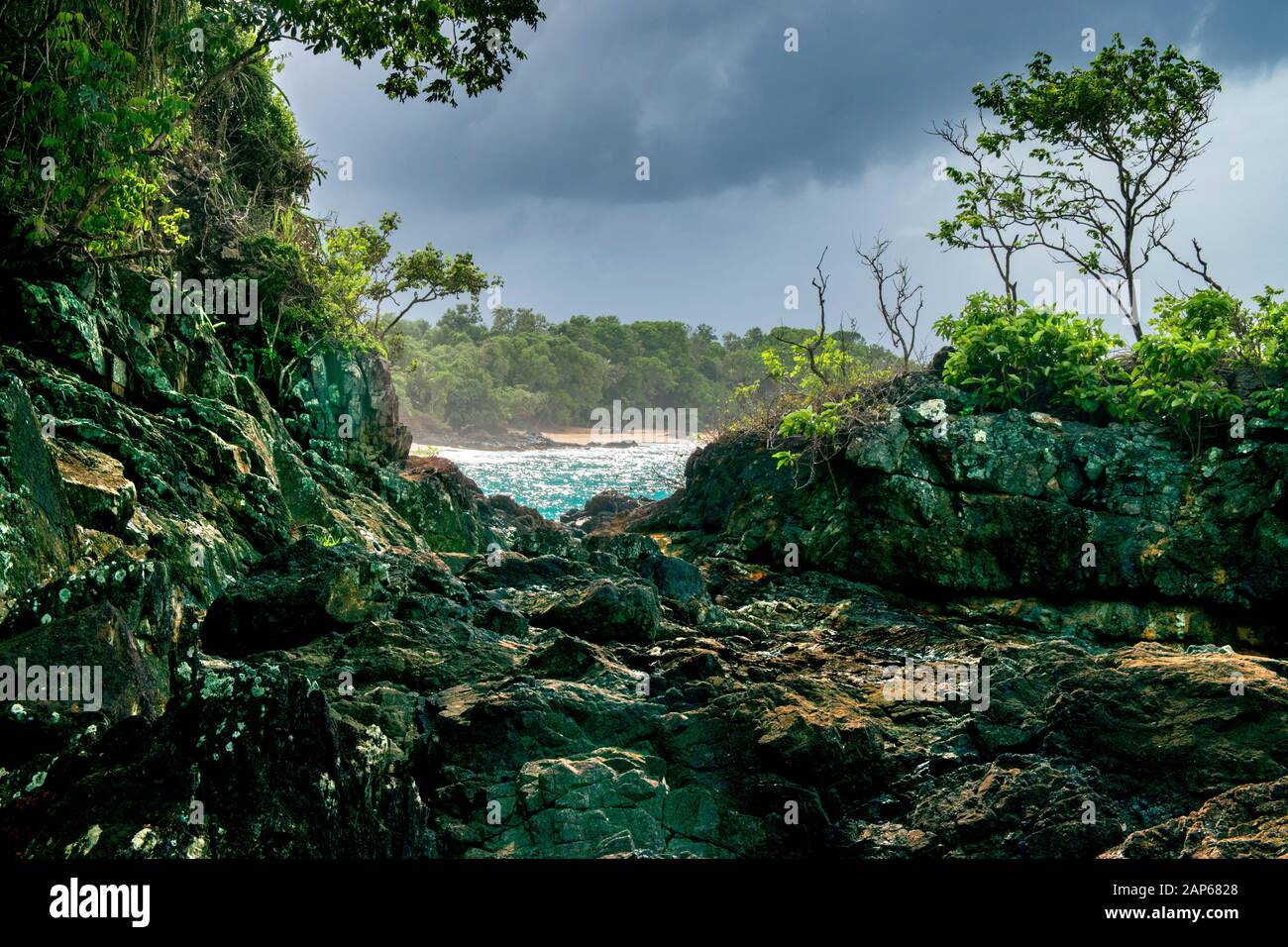 Tobago, une île éloignée des caraïbes Banque D'Images