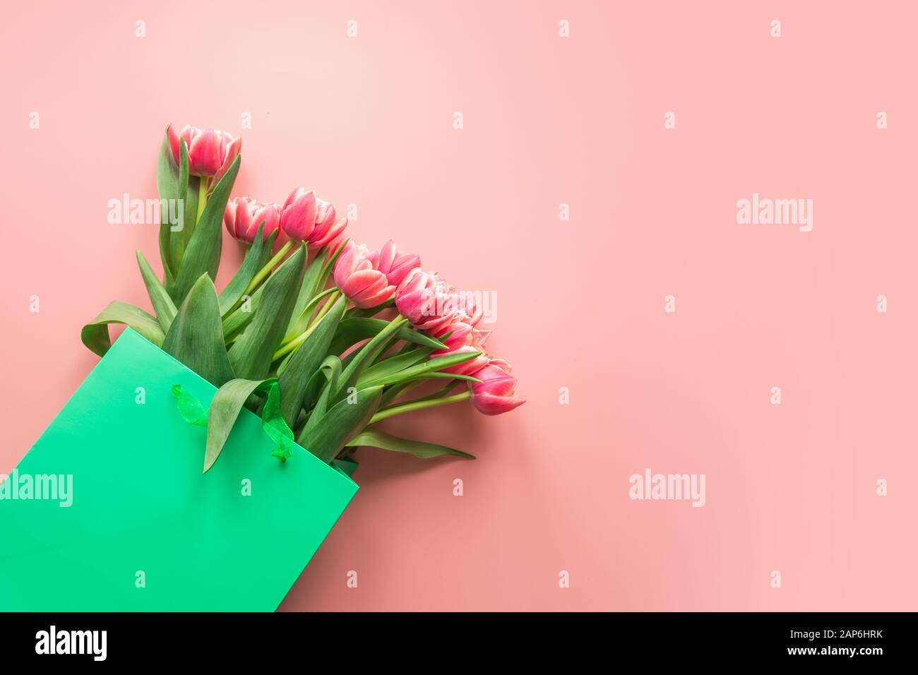 Fleurs tulipes rouges frais en sac de papier vert sur rose. Top View with copy space Banque D'Images