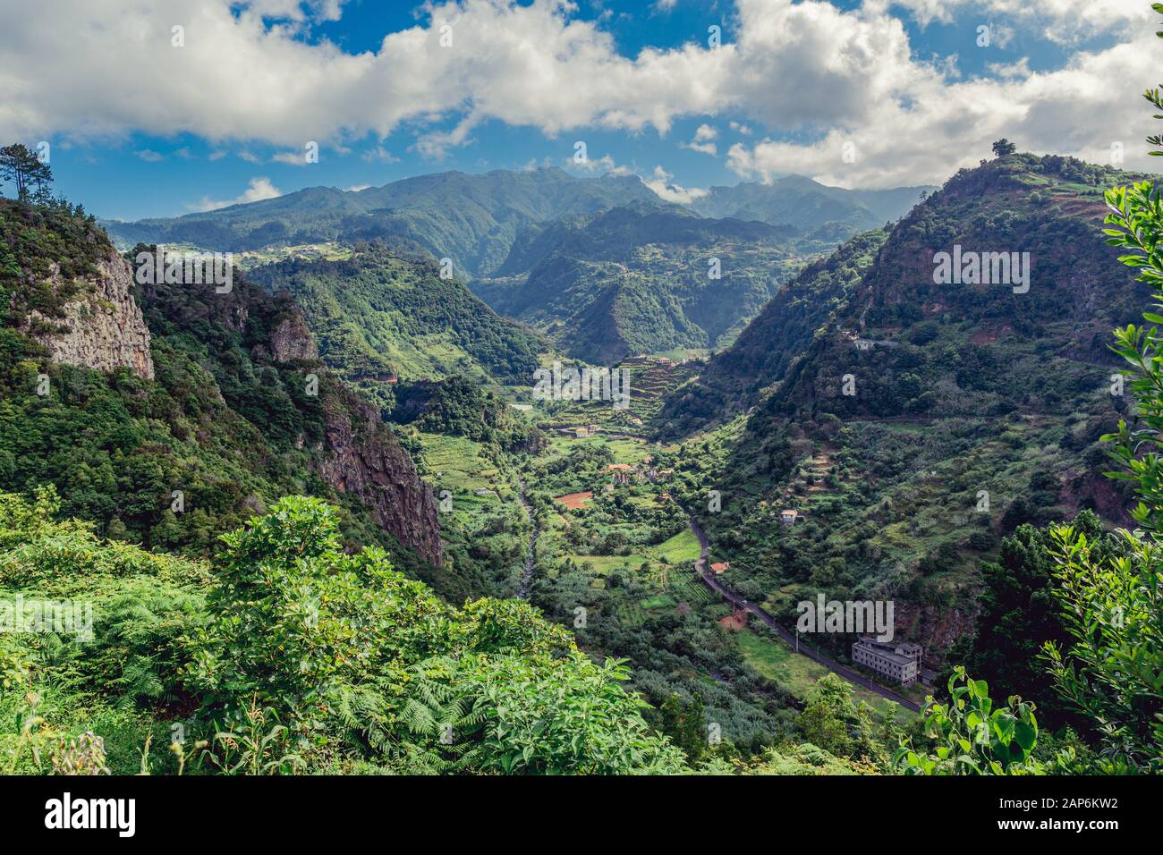 Vue panoramique sur la forêt tropicale épique de l'île de Madère Banque D'Images
