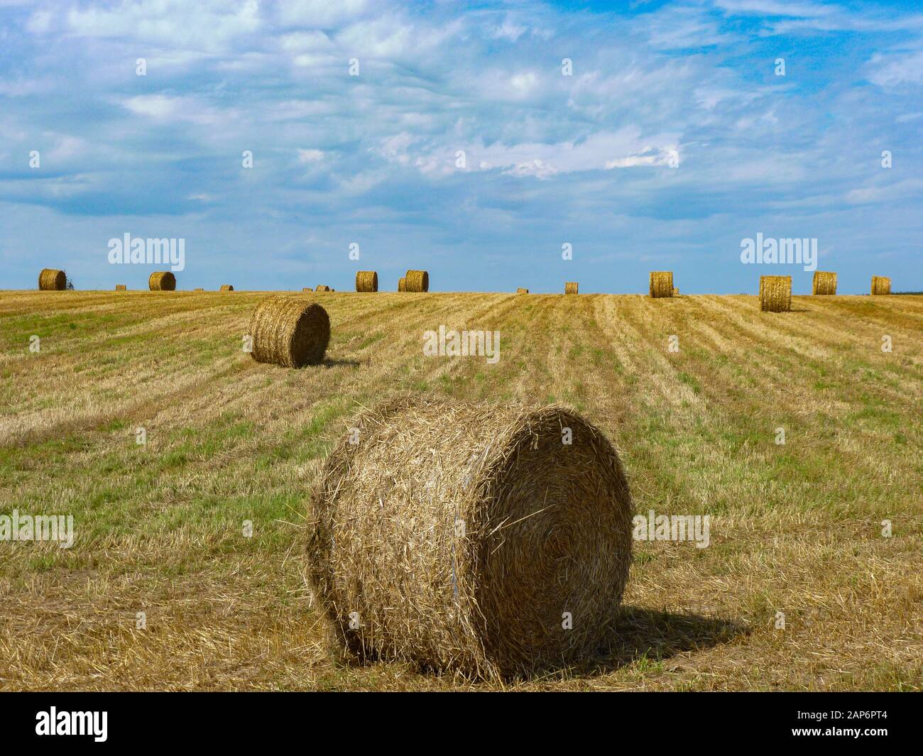 Rouleaux de foin au pré en Semois, Ardennen, Belgique Banque D'Images