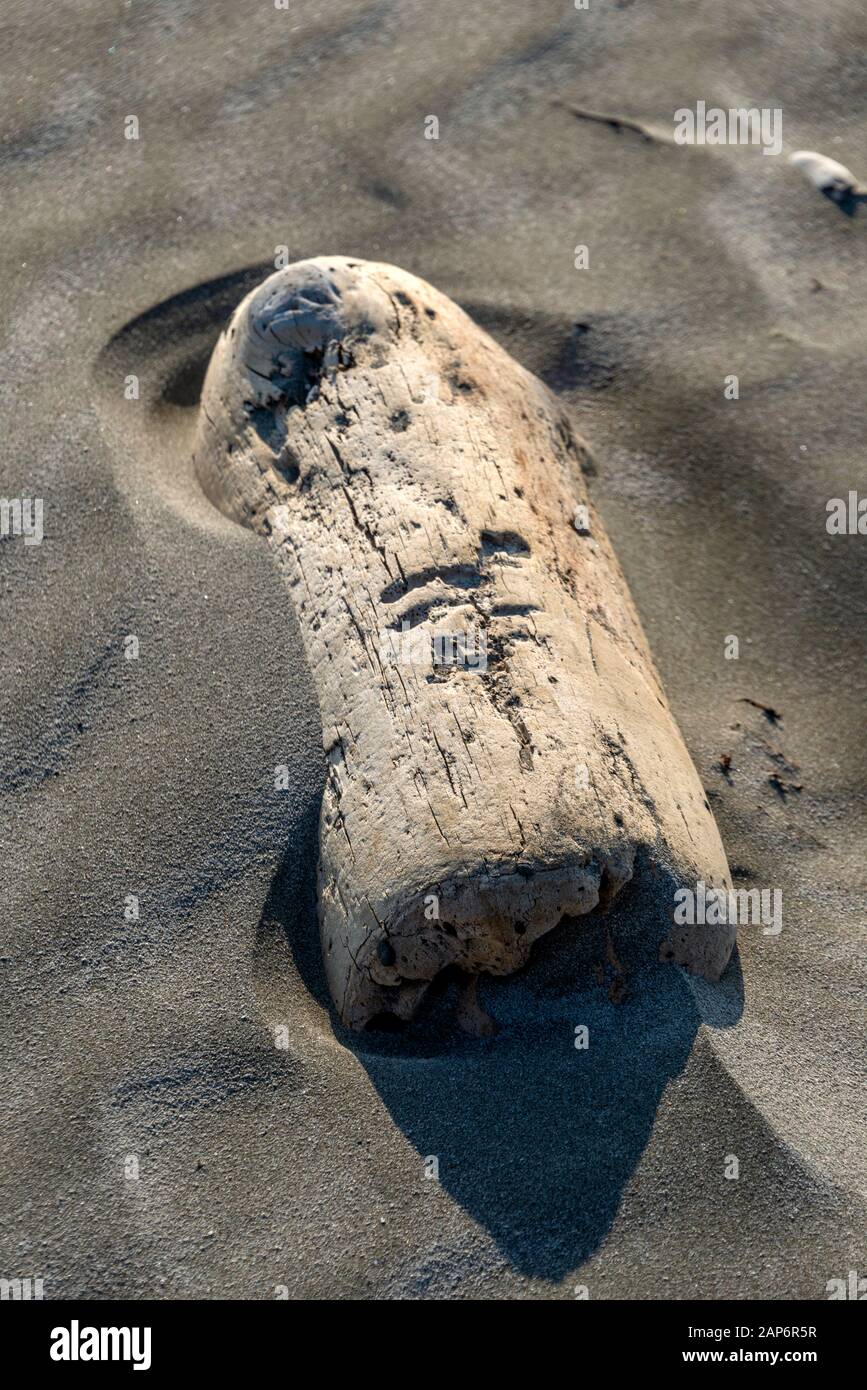 Une image portrait d'un morceau de bois de sciage lissé allongé dans du sable sec. Banque D'Images