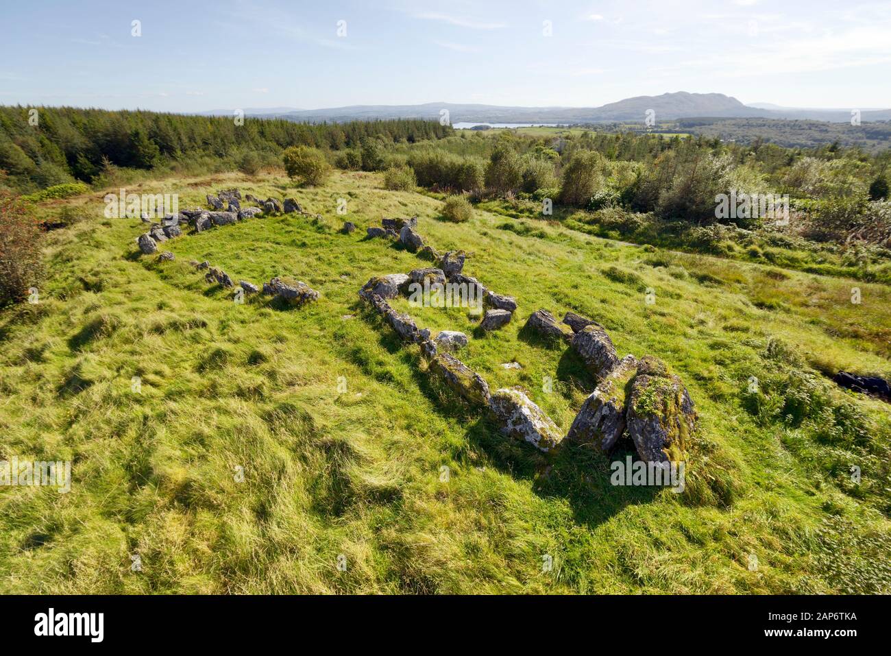 Deerpark court Tomb site de tombe néolithique alias Magherahanrush. N.E. de Colgagh Lough, Sligo, Irlande. Chambres funéraires à chaque extrémité de la cour ovale centrale Banque D'Images