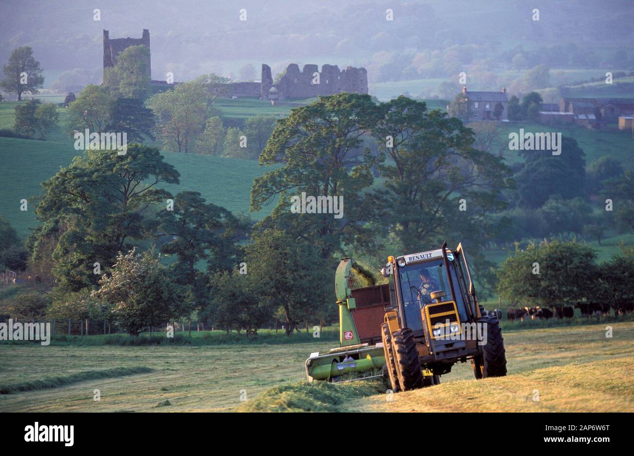 Silaging agriculteur un pré à l'aide d'un broyeur tracté, avec Brough Château en arrière-plan. , Cumbria (Royaume-Uni). Banque D'Images