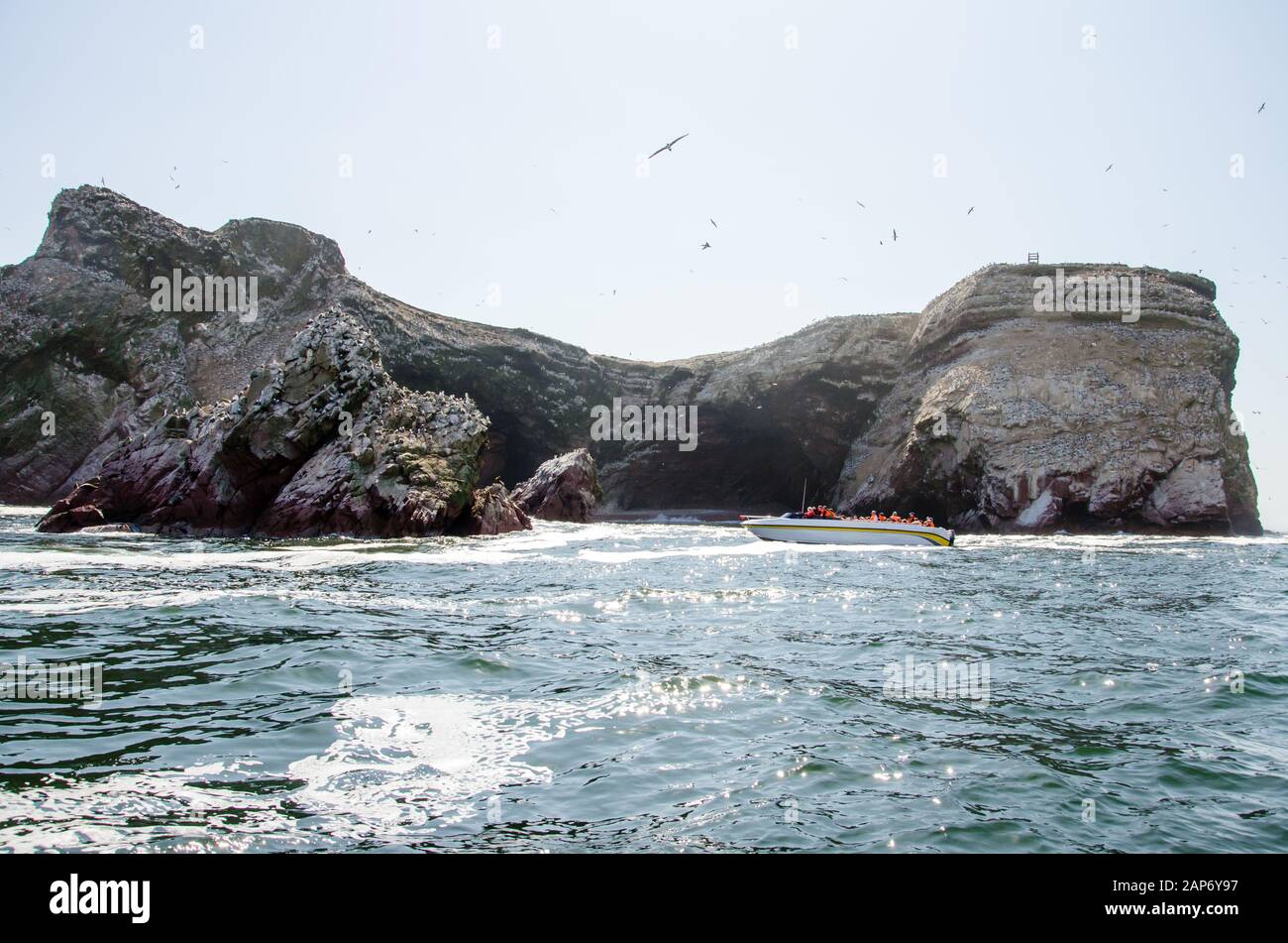 Visite en bateau des lions de mer et des oiseaux sur un rocher dans le parc national de Paracas Banque D'Images