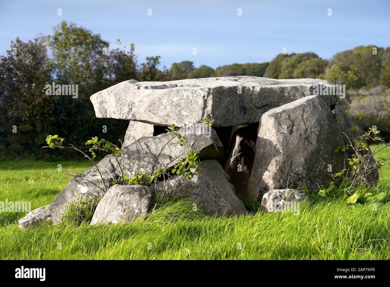 Craigs Bas préhistorique 4000 ans tombe de passage, Ballymoney, N. Irlande. Chambre funéraire néolithique. Le tombeau De La cour De pierre Large est de 800 m N.E. d'ici Banque D'Images