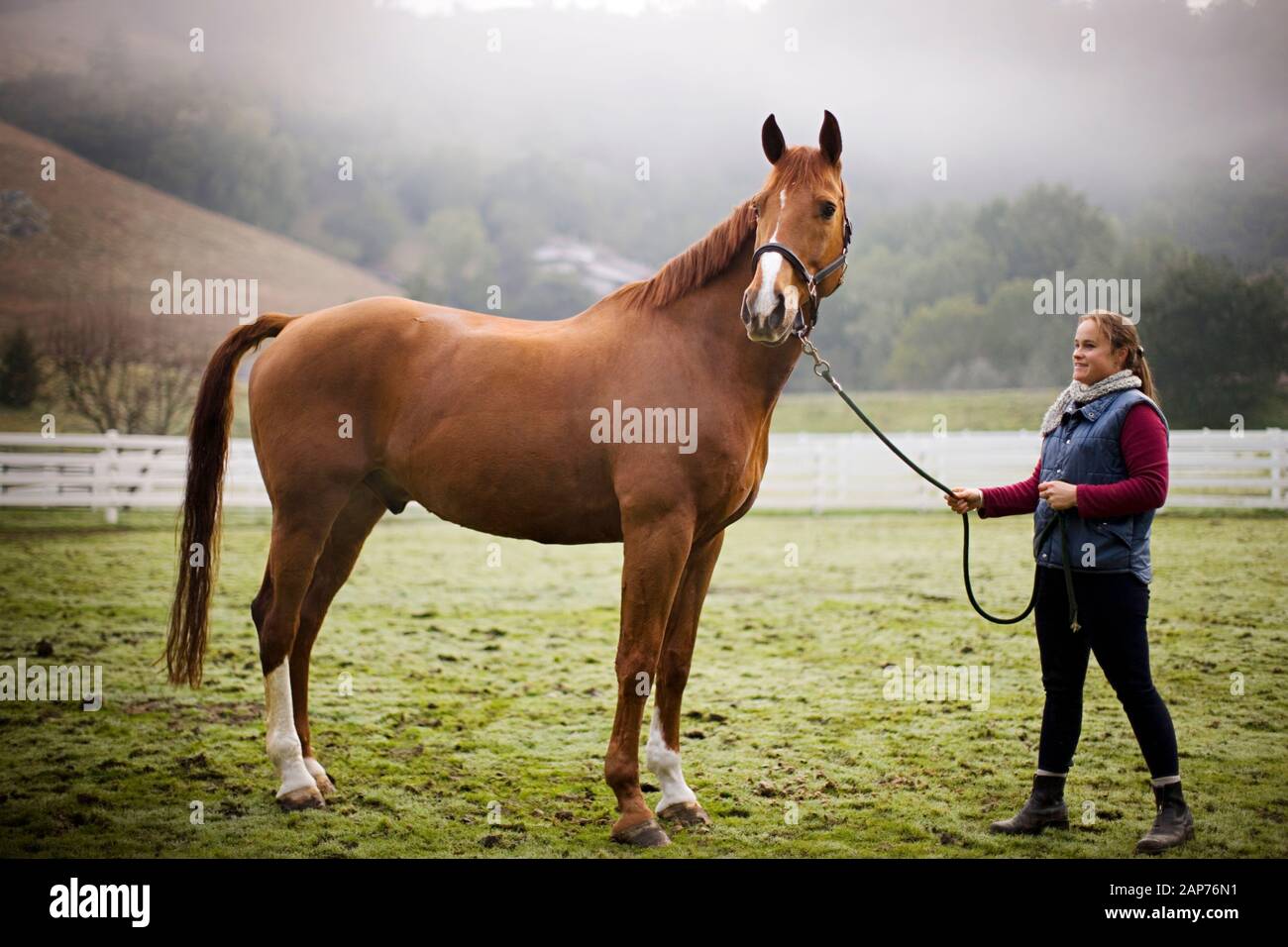 Jeune femme debout dans un enclos avec son cheval. Banque D'Images