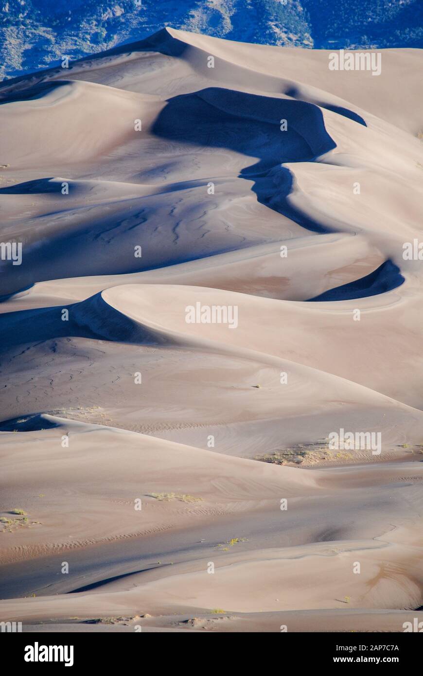 Lumière et ombre sur les dunes de sable du Colorado Banque D'Images