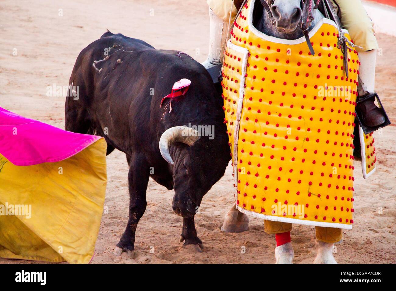 Broyeur De Taureaux Banque D'Images