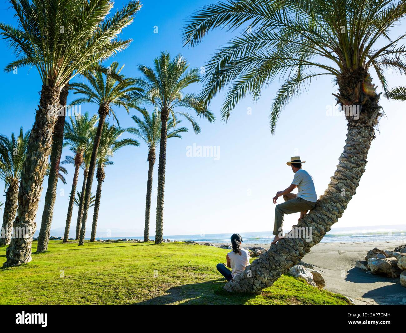 Contemplant la mer entre deux palmiers sur la plage de Playamar, à Torremolinos, Malaga, Espagne Banque D'Images