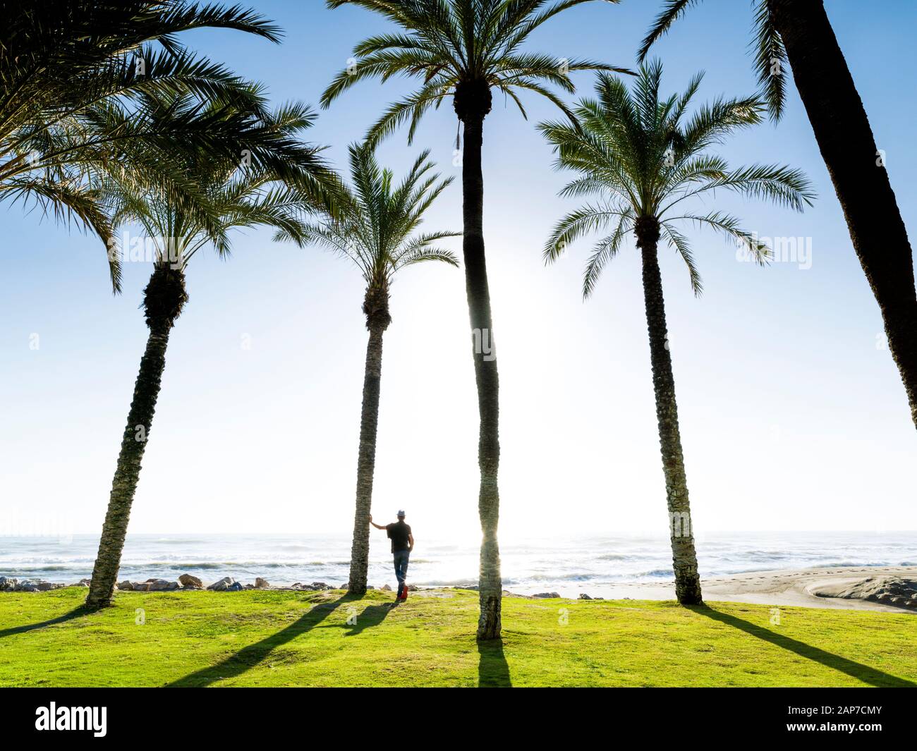 Seigneur en contemplant la mer entre les palmiers sur la plage de Playamar, à Torremolinos, Malaga, Espagne Banque D'Images