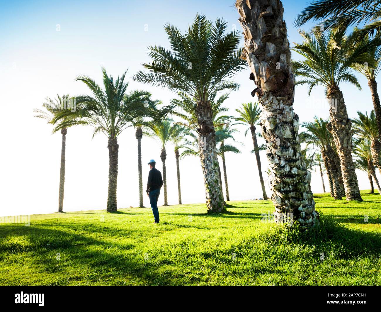 Seigneur en contemplant la mer entre les palmiers sur la plage de Playamar, à Torremolinos, Malaga, Espagne Banque D'Images