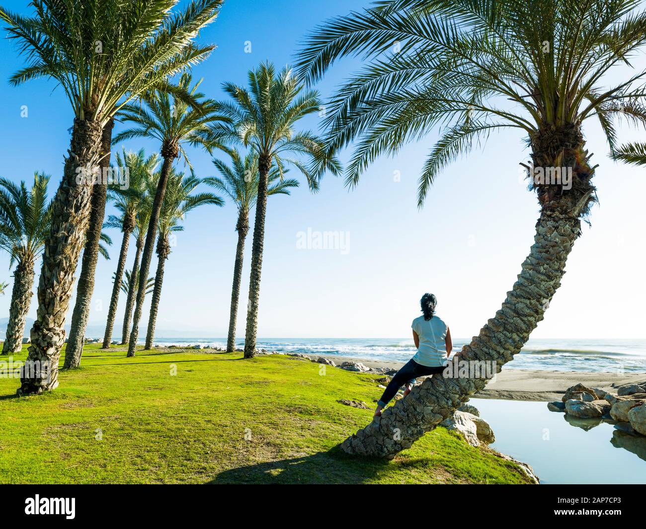 Femme assise sur le tronc d'un palmier sur la plage de Playamar, à Torremolinos, Malaga, Espagne Banque D'Images