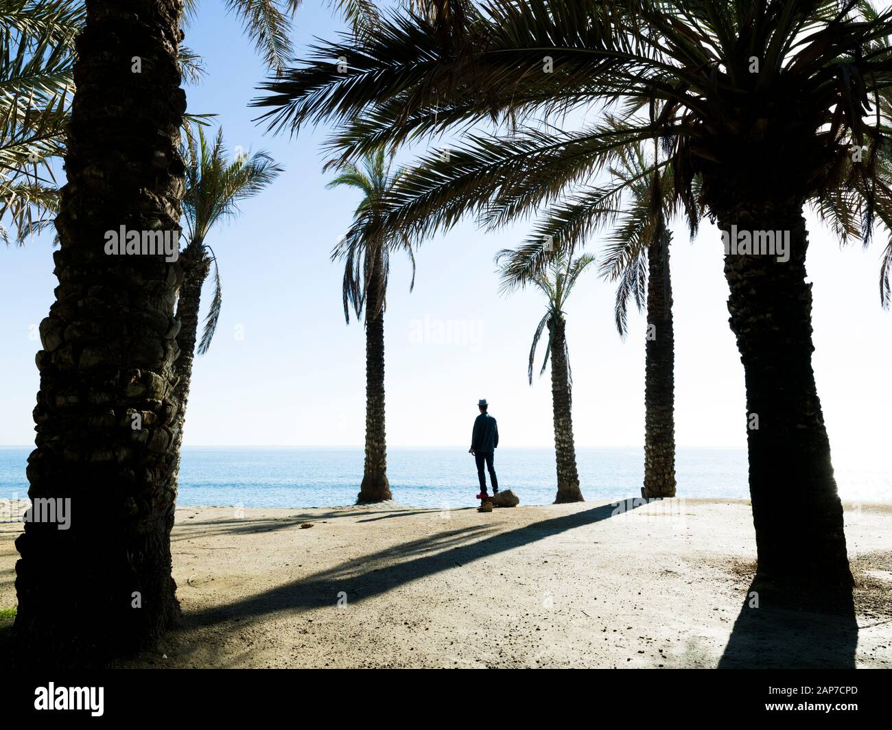 L'homme en contemplant la mer entre les palmiers sur la plage de Playamar, à Torremolinos, Malaga, Espagne Banque D'Images