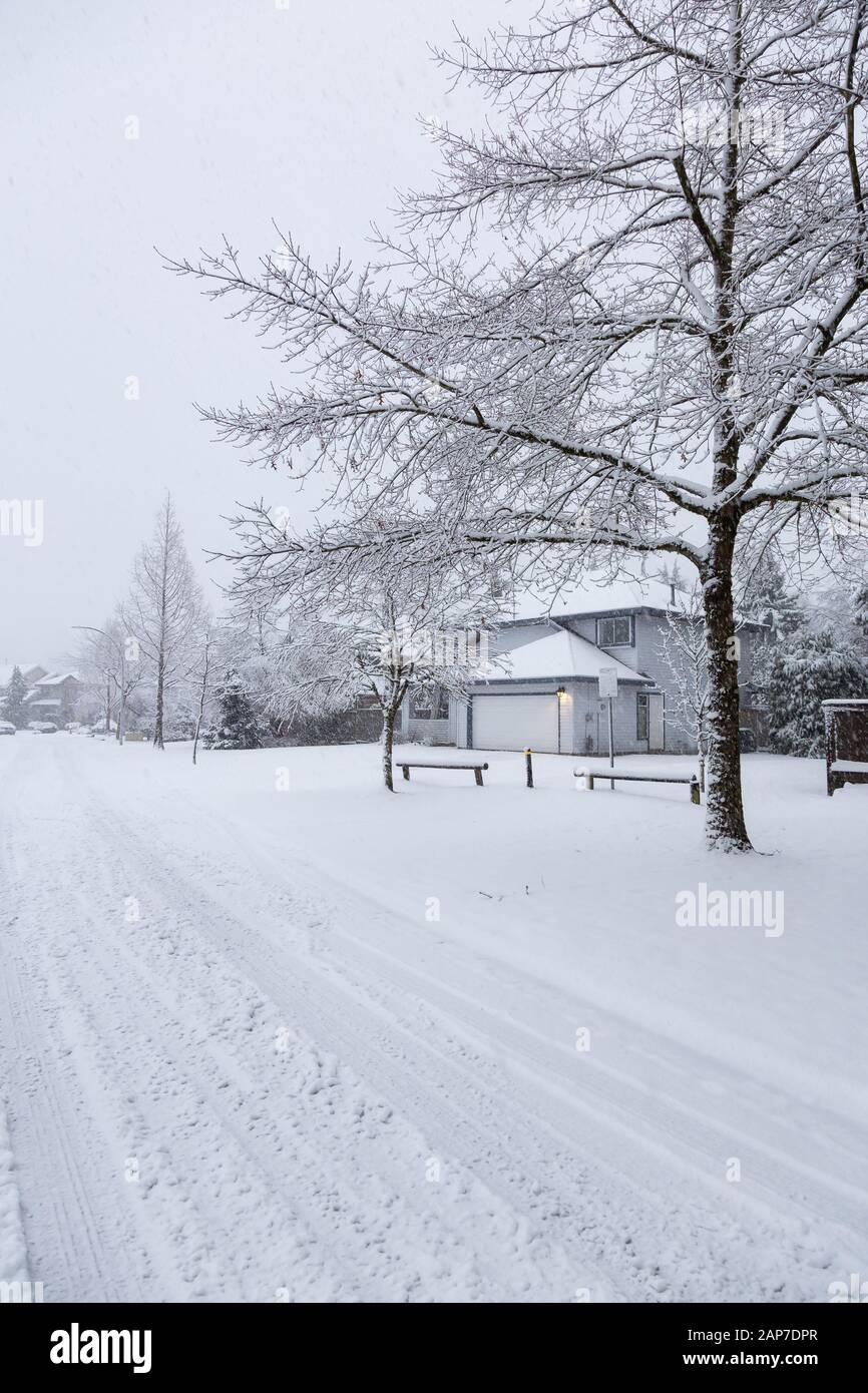 Quartier résidentiel de banlieue pendant une tempête de neige blanche Banque D'Images