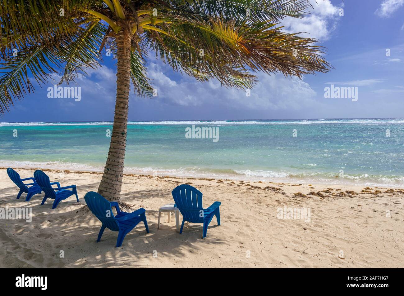 Chaises de plage sur une plage parfaite avec palmiers Banque D'Images