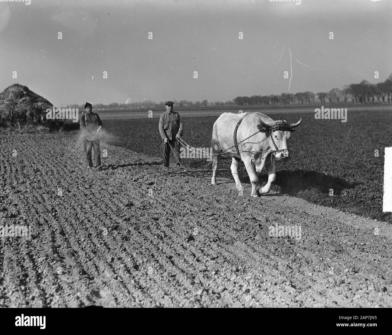 Correction de la frontière en Tudderen Selfkant (à Sittard) Description : Banque D'Images