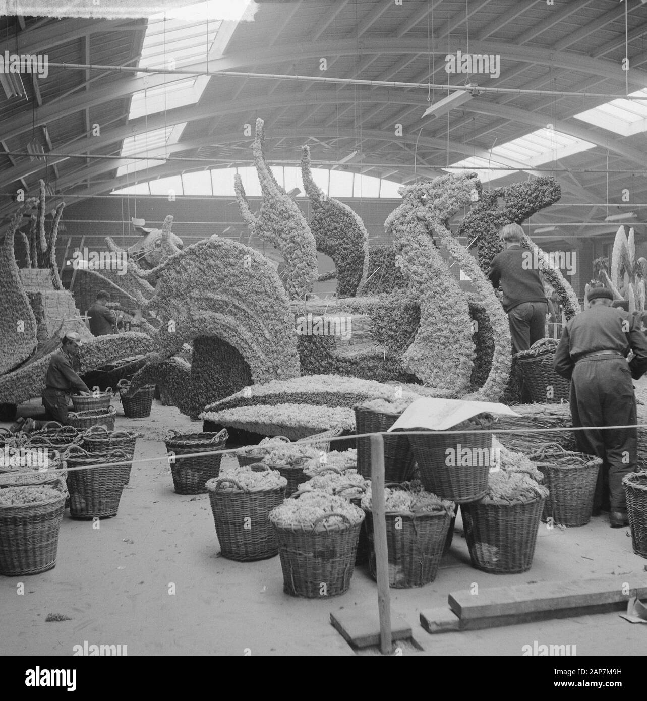 Corso fleuri à la création, à l'avant des voitures vues illustrant un amoureux de la nature Date : Mai 10, 1963 Mots-clés : FLEUR CORSOS, voitures, amoureux de la nature Banque D'Images