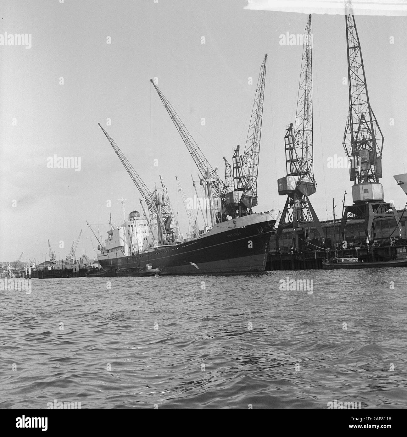 De Poeldijk dans Haven Rotterdam (ligne Holland America commandée) Date : 8 février 1965 lieu : Rotterdam, Zuid-Holland mots clés : ports Banque D'Images