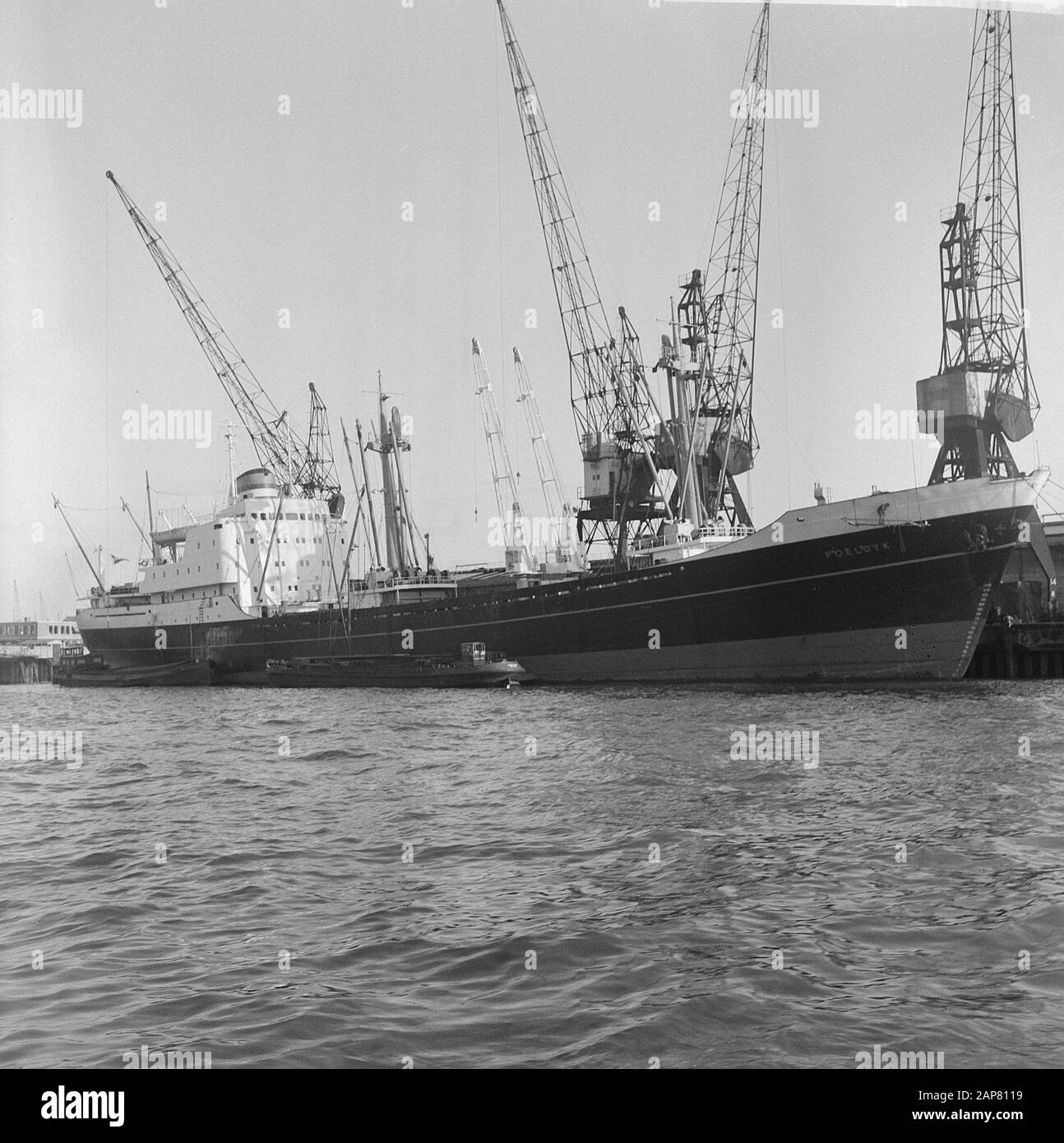 De Poeldijk dans Haven Rotterdam (ligne Holland America commandée) Date : 8 février 1965 lieu : Rotterdam, Zuid-Holland mots clés : ports Banque D'Images