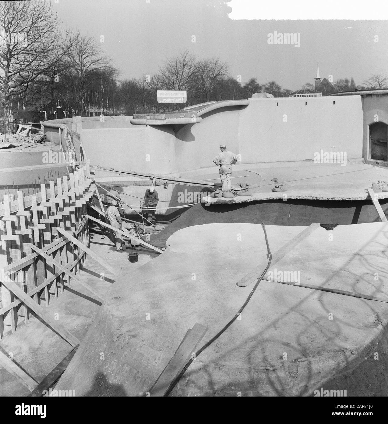 Activité à Mühldamse Diergaarde, le bassin du phoque complètement restauré Date : 16 mars 1965 lieu : Rotterdam, Hollande-Méridionale mots clés : Bassins, zoo Banque D'Images