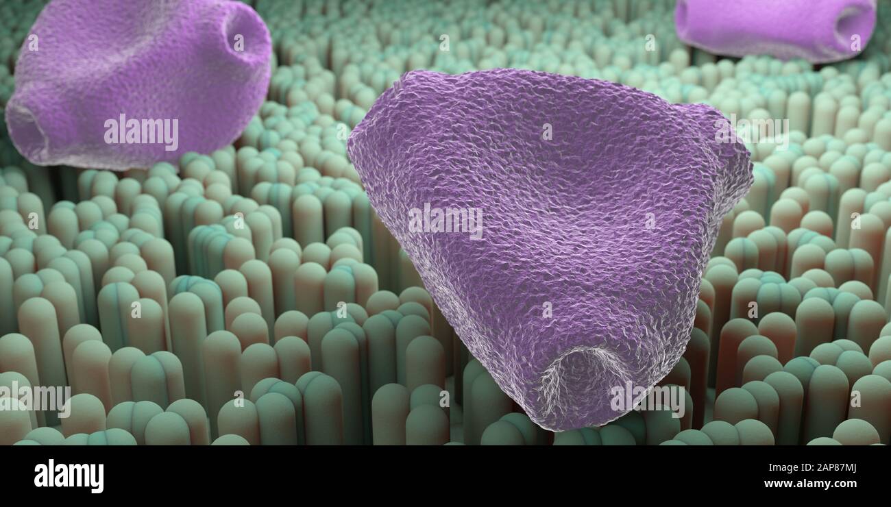 Pollen de bouleau sur tissu mucosa - réaction allergique, rhinite allergique ou fièvre de foin illustration tridimensionnelle avec focalisation sélective Banque D'Images