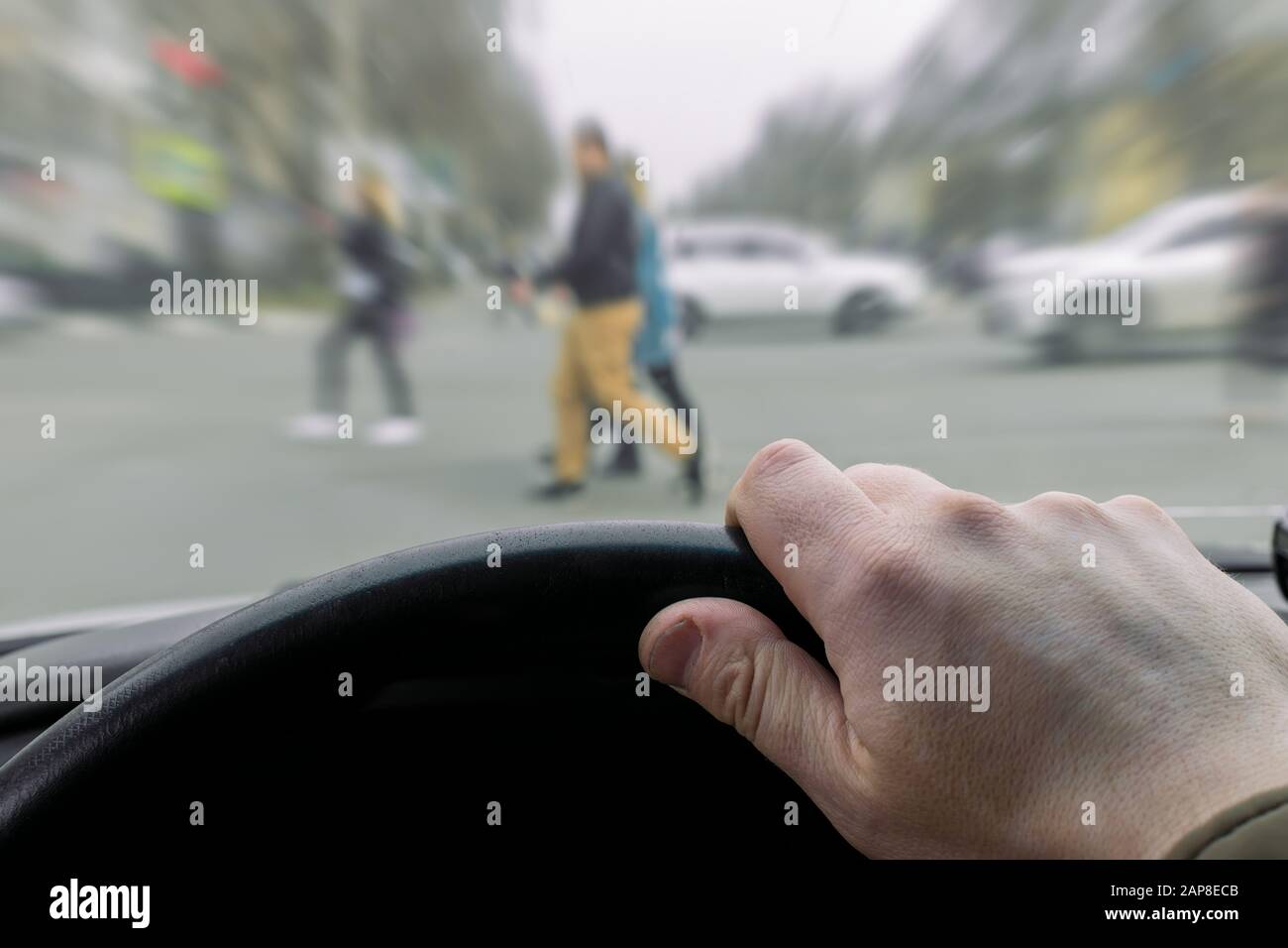 Urgence. Vue de la voiture, main de l'homme sur le volant de la voiture pendant le freinage, devant un passage pour piétons et passage pour piétons Banque D'Images