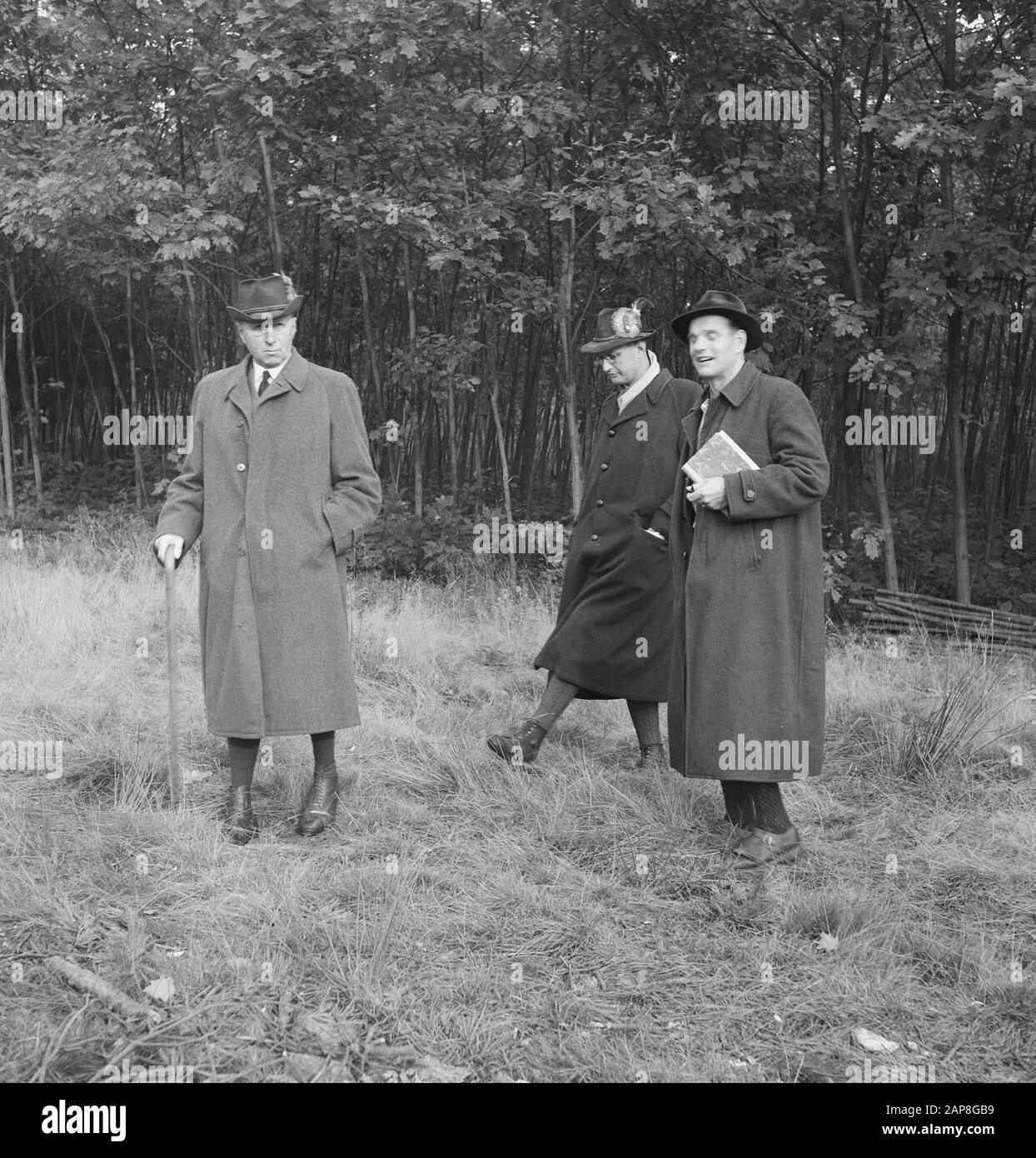 Forêts, hommes, chapeaux, livres Date : non daté mots clés : livres, forêts, chapeaux, hommes Banque D'Images
