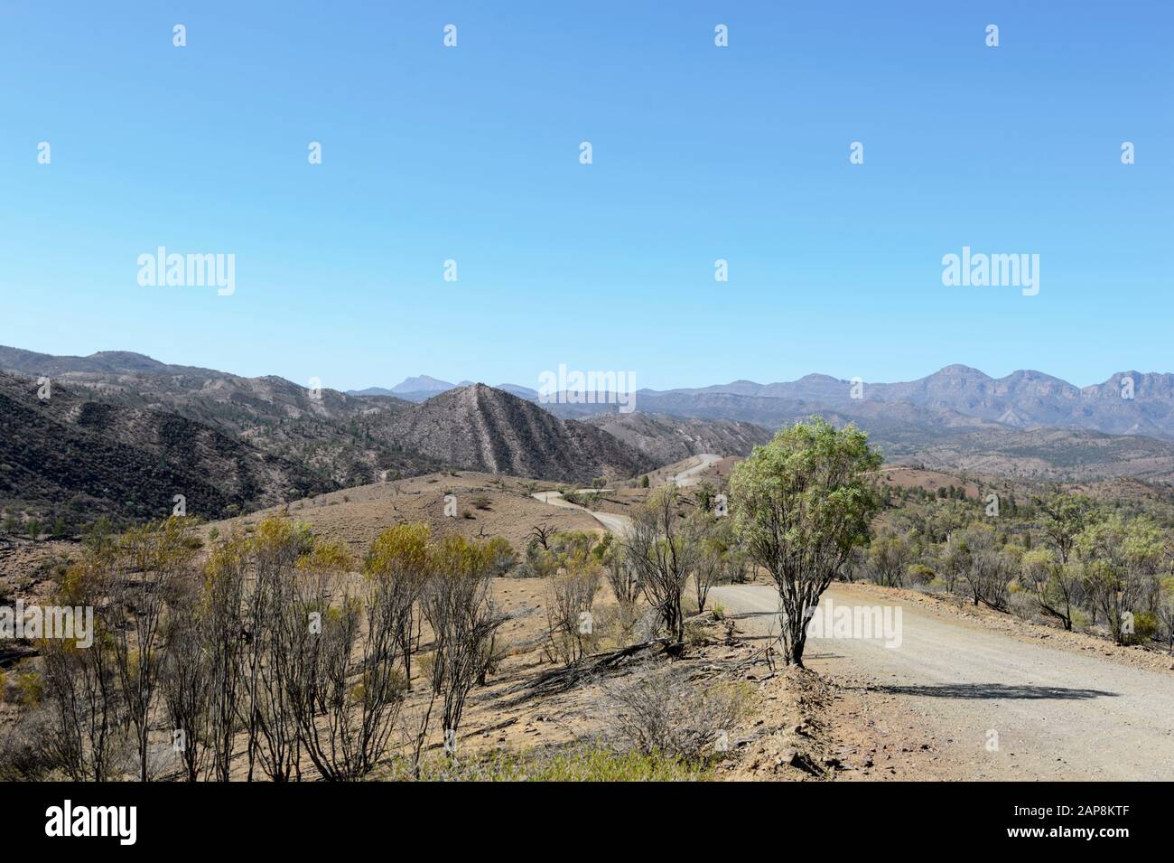 Vue Panoramique Sur Le Razorback, La Gorge De Bunyeroo, Le Parc National Ikara-Flinders Ranges, Australie Méridionale, Australie Banque D'Images
