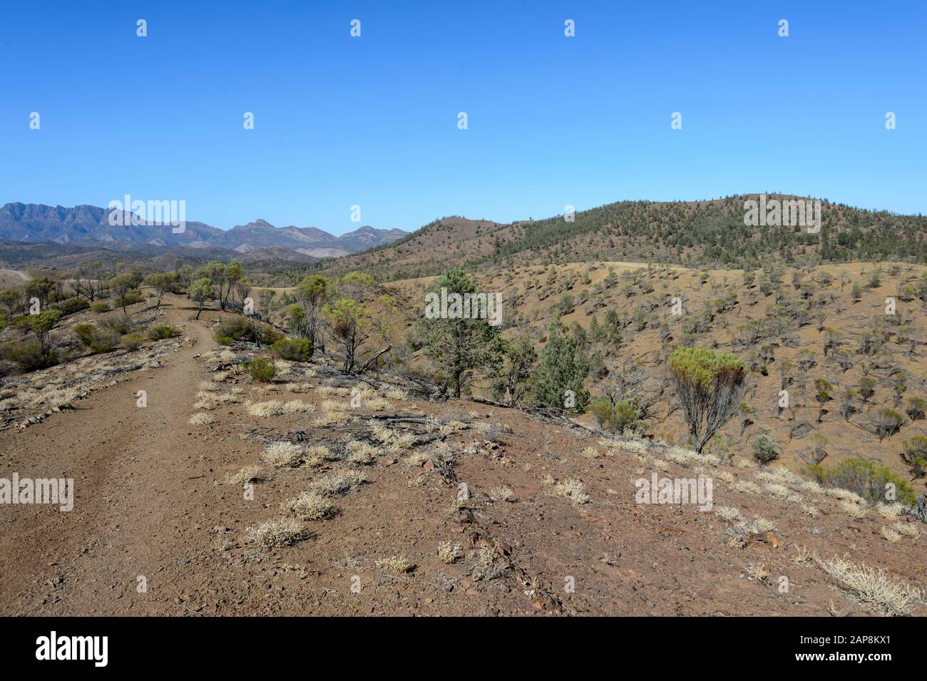 Vue Panoramique Sur La Gorge De Bunyeroo, Le Parc National Ikara-Flinders Ranges, Australie Méridionale, Australie Banque D'Images