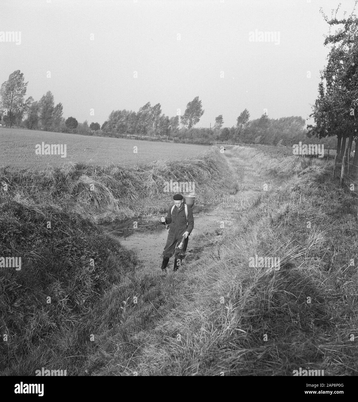 Travailleurs, prairies, pulvérisation Date: Non daté mots clés: Travailleurs, grassen, pulvérisation Banque D'Images