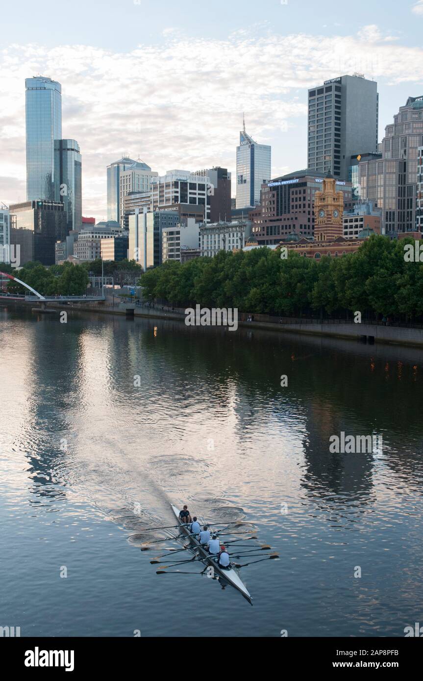 Rameurs sur la Yarra un soir d'été Banque D'Images
