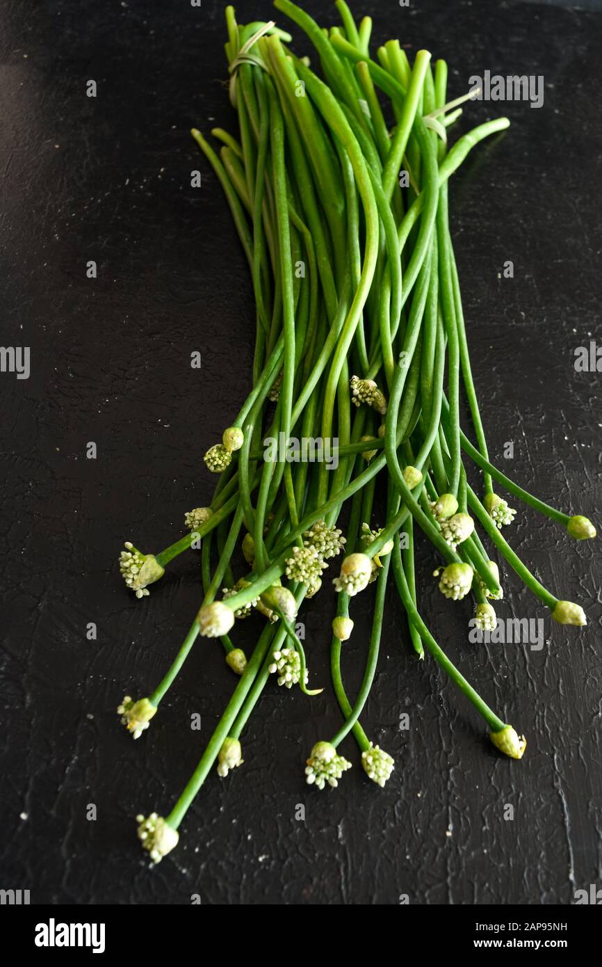 Bouquet de têtes de fleurs d'oignon sur fond noir, fleurs d'oignon en fleurs, oignon de printemps avec têtes de fleurs, licum neapolitanum closeup, scallion. Banque D'Images