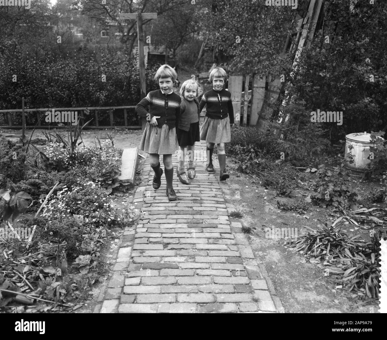 8 novembre prochain espère devenir les jumeaux siamois frisons Folkje et Tjitske de Vries 6 ans, les filles sur le vélo Date: 3 novembre 1959 mots clés: Filles, bicyclettes, jumeaux siamois Nom personnel: Folkje, Vries, Tjitske de Banque D'Images