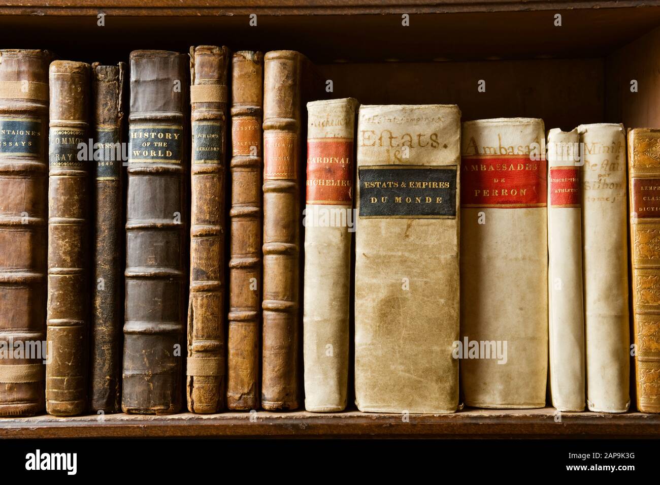 Livres sur les étagères de la Bibliothèque, reflétant les intérêts de plusieurs générations de la famille Bankes, à Kingston Lacy, Dorset. Banque D'Images