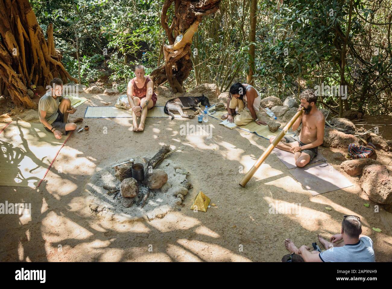 Les gens sous le grand banyan Tree à Arambol. Goa Banque D'Images