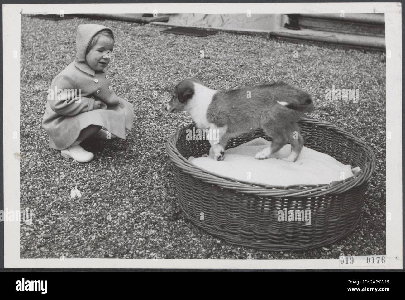 Cette photo est égale à la photo 019-0151 Date: 6 novembre 1950 lieu: Soestdijk, Utrecht mots clés: Chiens, maison royale, princesses Nom personnel: Christina, princesse Banque D'Images